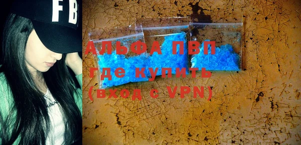индика Вязники