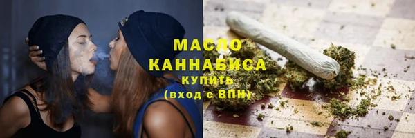 индика Вязники