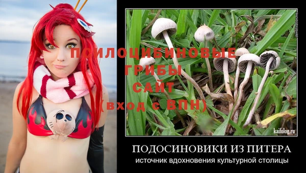 хмурый Вязьма