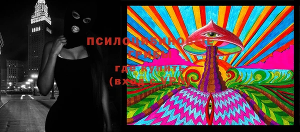 индика Вязники