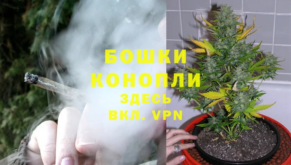 спайс Вяземский