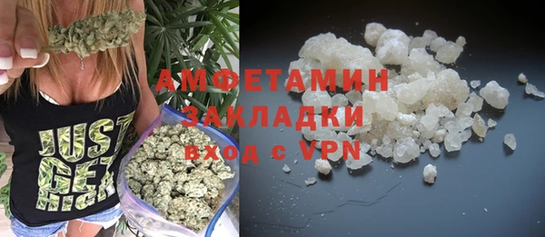 индика Вязники