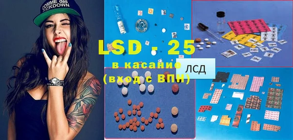 индика Вязники