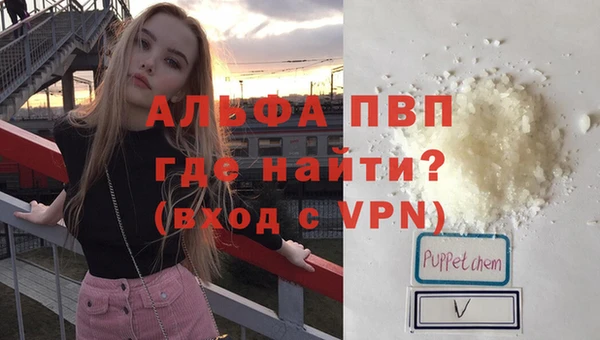 спайс Вяземский