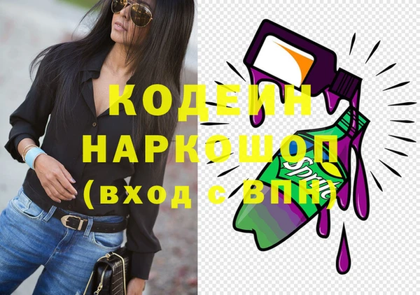 индика Вязники