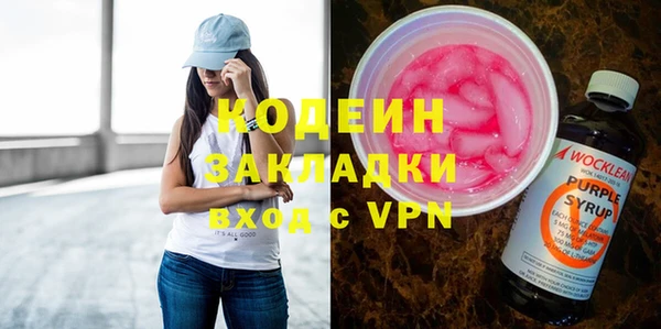 индика Вязники