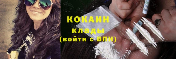 индика Вязники