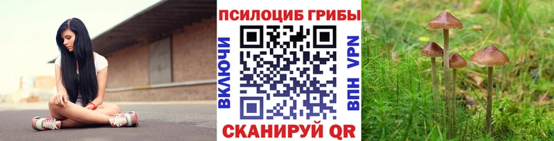 мега ссылка  Южноуральск  Псилоцибиновые грибы Psilocybine cubensis 
